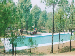 Retreat Anand Jungle Resort Lansdowne